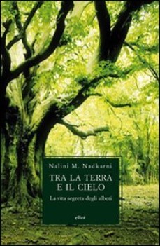 tra la terra e il cielo
