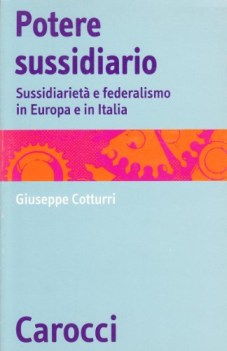 potere sussidiario