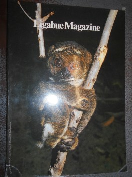 ligabue magazine numero 13 anno VII 1998