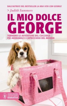 mio dolce george