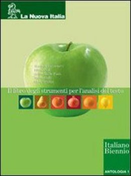 libro degli strumenti per analisi testo