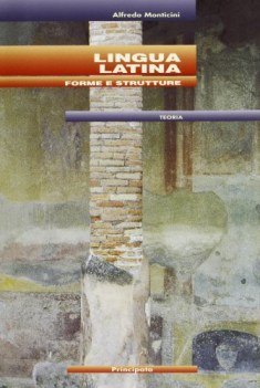 lingua latina forme e strutture, teoria