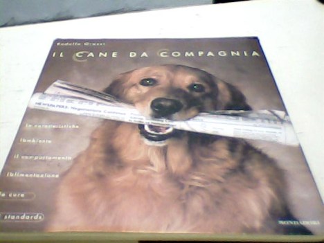 cane da compagnia