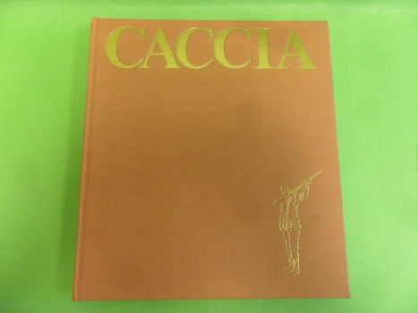 caccia