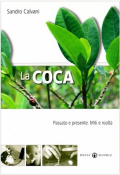 coca passato e presente miti e realt